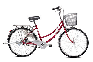 Xe đạp Thống Nhất mini 219 –24/ 26″