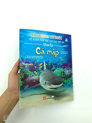 Sách Bách Khoa Tri Thức Về Khám Phá Thế Giới Cho Trẻ Em - Cá Mập (Tái Bản 2018)
