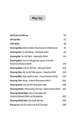 YOGA VỚI GHẾ - Bản đầy đủ - Hướng dẫn thực hành toàn diện Iyengar Yoga với Ghế