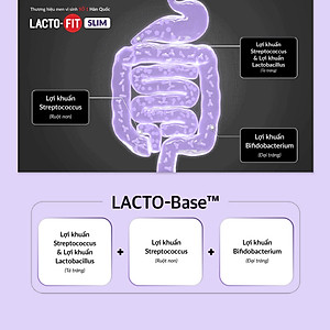 60 Gói Men Vi Sinh Hàn Quốc LACTO-FIT SLIM Cải Thiện Đường Ruột, Hỗ Trợ Người Ăn Kiêng (60 gói x 2g)