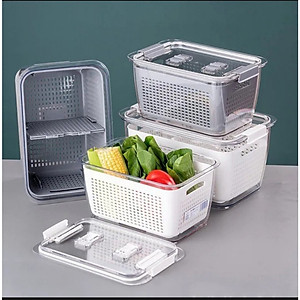 Hộp Đựng Bảo Quản Thức Ăn 2 Lớp 1,7 Lít Và 4,5 Lít Hokori. Hộp Đựng Hoa Quả Trái Cây Cao Cấp Việt Nhật Có Lỗ Thoát Khí , Sản Xuất Theo Tiêu Chuẩn Châu Âu An Toàn Cho Sức Khỏe - Hàng Việt Nam