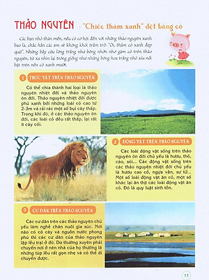 Sách Bách Khoa Tri Thức Đầu Đời Cho Trẻ Em - Trái Đất Diệu Kỳ - Khám Phá "Cơ Thể" Trái Đất