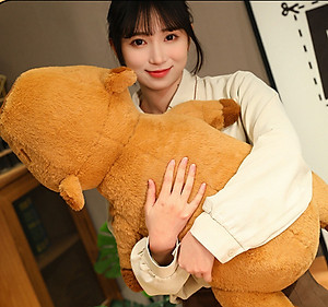 Thú nhồi bông capybara phom nằm đáng yêu - Size từ 60cm đến 90cm - Quà tặng gấu bông chuột lang chảy nước mũi có thể kéo ra được.
