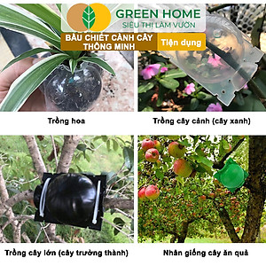 Bầu Chiết Cành Greenhome, Dụng Cụ Làm Vườn, Tăng Khả Năng Ra Rễ, Chống Úng Cành Chiết, Độ Bền Đến 2 Năm, Dễ Sử Dụng