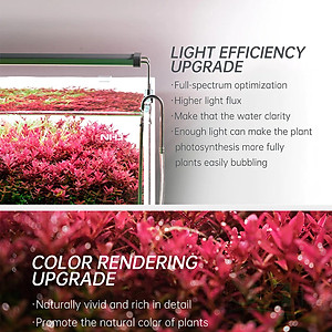 Đèn led Chihiros B 20, 30, 45, 60, 80, 90, 120 cm series quang phổ rgb bể thủy sinh cá tép