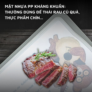 Thớt inox 304 và nhựa kháng khuẩn DandiHome cao cấp hai mặt 