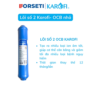 Lõi lọc nước số 2 nhỏ OCB-GAC T33 hàng chính hãng Karofi - Dùng cho model máy N-e