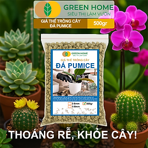 Đá Pumice Greenhome, Bao 500gr, Đất Trồng Sen Đá, Giá Thể Trồng Cây, Lót Chậu, Nhiều Khoáng Chất, Thoát Nước Tốt