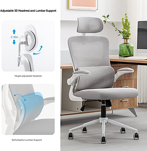 Ghế Công Thái Học Tựa Đầu, Ghế Công Thái Học, Ghế Văn Phòng  Thiết Kế Trẻ Trung Hiện Đại. Mesh Ergonomic Executive office chairs with headrest. Ghế lưới văn phòng điều hành Ergonomic với tựa đầu.