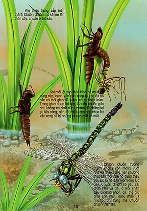 Sách Thế Giới Động Vật Kì Thú - Vườn Côn Trùng