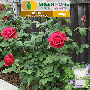 Phân Bón Hữu Cơ Greenhome, Minro, Bao 700g, Sinh Học Giúp Cây Khoẻ, Ổn Định, Sai Hoa, Đậu Trái Chuyên Hoa Hồng, Lan, Rau