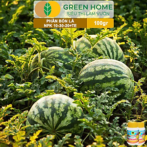 Phân Bón Lá Đầu Trâu MK 501-701-901, GreenHome,Chai 100GR,Đặc Biệt Dành Cho Hoa Lan Và Cây Cảnh