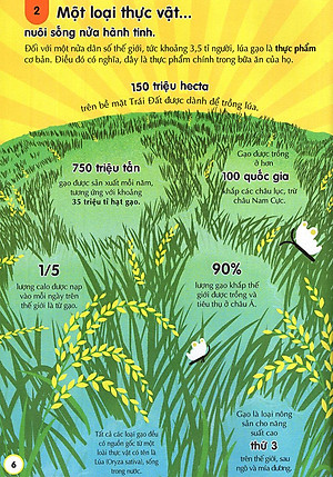 Sách 100 Bí Ẩn Đáng Kinh Ngạc Về Thức Ăn (USBORNE - 100 Things To Know About Food)
