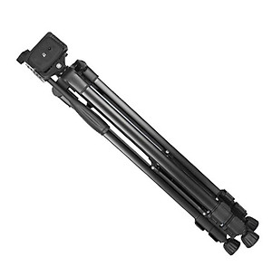 Chân giá đỡ máy chụp ảnh/ quay phim Tripod 3366 + Giá đỡ điện thoại - Hàng chính hãng