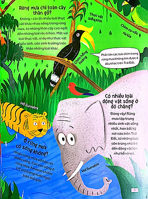 Sách Những câu hỏi tò mò & giải đáp thú vị về rừng mưa