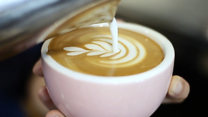 Cà phê bột Arabica Cầu Đất 500g nguyên chất 100% Coffee Tree  thơm nồng, vị nhẹ, gu tây