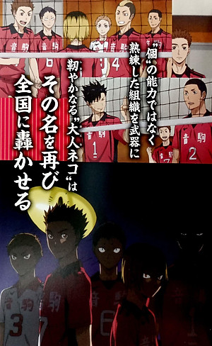 ハイキュー!! TVアニメチームブック vol.2 音駒高校バレーボール部 - HAI KYUU ! !