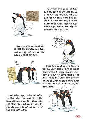 Sách 10 Vạn Câu Hỏi Vì Sao - Khoa Học Quanh Ta 2