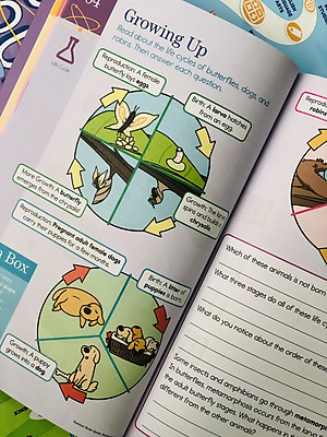 Sách summer brain quest 2&3 phát triển tư duy iq cho bé - in màu ( 7 - 8 tuổi )