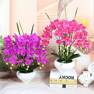 Cành lan hồ điệp giả cao cấp - 1 cành - 9 bông - dài 100cm - Cây giả, hoa lụa Decor trang trí nhà cửa