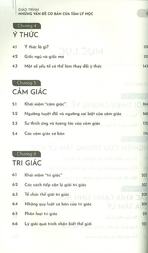 Những Vấn Đề Cơ Bản Của Tâm Lý Học (Giáo Trình Dành Cho Hệ Cử Nhân) 