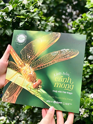 (Sách Song Ngữ) KHÁM PHÁ VIỆT NAM XANH: LINH HỒN CÁNH MỎNG – Chạm Vào Vẻ Đẹp Mong Manh Của Những Sinh Linh Nhỏ Bé - Phạm Thanh Kiều Trang - Alpha Books