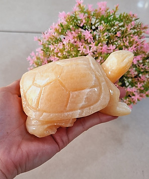 Cụ Rùa phong thủy 12cm đá tự nhiên tạc tay