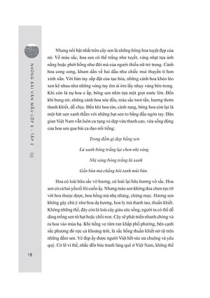 Sách Những Bài Văn Mẫu Lớp 8 (Tập 2)