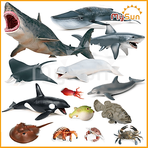 Bộ đồ chơi mô hình sinh vật cua biển, cá mập megalodon, cá voi xanh sát thủ.
