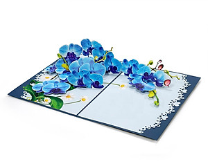 Thiệp 3D Pop Up Hoa Lan Xanh – Thiệp Hoa Nghệ Thuật, Thiệp Chúc Mừng, Sinh Nhật, Sang Trọng, F45
