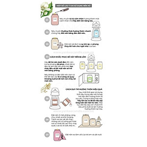 Nến hũ Yankee Candle size L - Summer Daydream