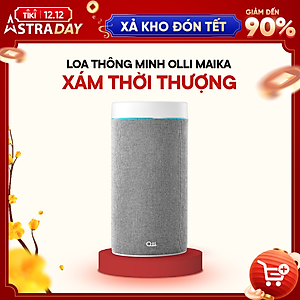Loa thông minh OLLI MAIKA - Xám Thời Thượng - Hàng Chính Hãng