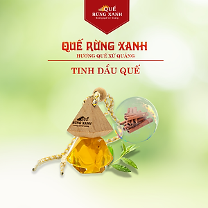 [Kèm quà tặng] Combo 8 hộp nhang thảo mộc hương quế Quế Rừng Xanh 100% nguyên chất từ Quế Rừng Trà Bồng 70 nén/hộp cao 30cm