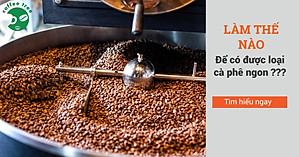 Cà phê hạt Robusta nguyên chất 100% 1kg - Coffee Tree thơm ngon, đậm đà