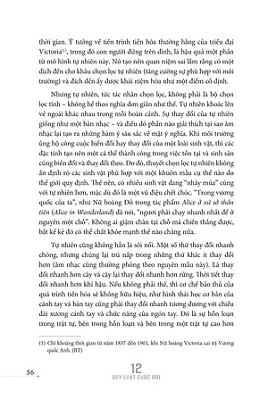 Sách 12 Quy Luật Cuộc Đời: Thần Dược Cho Cuộc Sống Hiện Đại