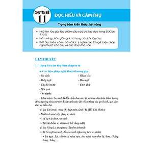 Sách Trọng Tâm Kiến Thức Tiếng Việt (Luyện Thi Vào Lớp 6) Tập 2 (Có Đáp Án)