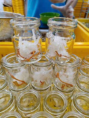 [TOP SALE] TỔ YẾN CHƯNG ĐÔNG TRÙNG HẠ THẢO 100% Tổ Yến Thật (Hàm Lượng 30%) (6 Lọ X 70ML) - Đệ Nhất Yến Đảo - Giảm Stress - Giảm Mệt Mỏi - Đẹp Da - Đẩy Lùi Lão Hóa - Điều Hòa Đường Huyết - Ổn Định Huyết Áp - Tăng Sức Đề Kháng - Tăng Sức Đề Kháng