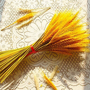 CÂY LAU SỢI VẮT TRỢ LỰC TỰ HÃM THÔNG MINH CÂY LAU MOP SỢI LAU SIÊU THẤM MỀN MẠI VÀ BỀN KHÁNG KHUẨN HÀNG XUẤT KHẨU CAO CẤP - MHW007K65QN