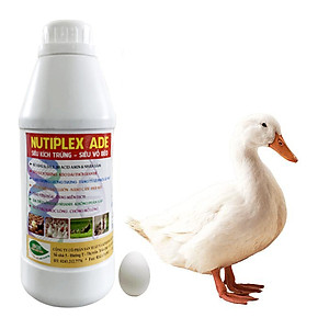 Siêu Kích Trứng cho gà, vịt, cút đẻ NUTIPLEX ADE. Kéo dài chu kỳ đẻ. Trứng đẹp, vỏ dầy, tăng phôi, tăng tỷ lệ ấp nở