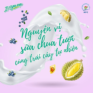 Sữa chua sấy thăng hoa I.Yaua túi 25g mix 05 vị (việt quất, sầu riêng, chuối, dâu và truyền thống)