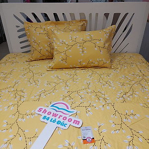 Bộ ga chun chần 160x200 Sông Hồng chất cotton