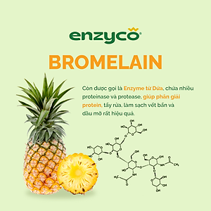 Nước Lau sàn sinh học ENZYCO 2L - Chiết xuất Bồ hòn và Enzyme Dứa