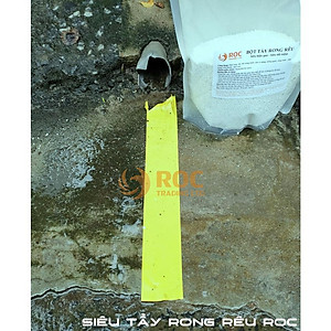 Bột Tẩy Rong Rêu Trên Nền Xi Măng ROC