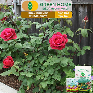 Phân bón NPK 12-12-17-6S+TE Greenhome, Better, Bao 1kg, Tăng Đậu Trái Cây Ăn Củ, Quả