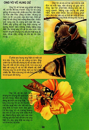 Sách Thế Giới Động Vật Kì Thú - Vườn Côn Trùng