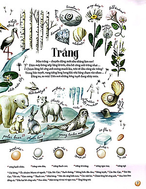 Sách Những Gam Màu Rực Rỡ Của Thiên Nhiên