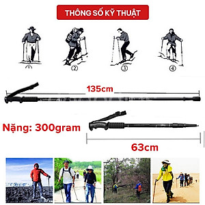 Gậy Leo Núi Trekking Đi Rừng, Dã Ngoại, Đi Phượt - Hàng chính hãng dododios