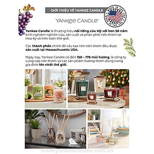 Nến hũ Yankee Candle size L - Summer Daydream