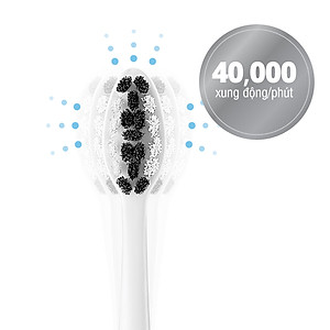 Bàn Chải Đánh Răng Điện Locknlock ENR346 - DC3.7V, Trọng Lượng 235g, Sạc Không Dây