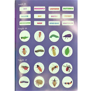 Sách Bộ Song Ngữ 5 Cuốn Ứ Ừ Con Ghét (Việt-Anh) - Tập 5: Hóa Ra Côn Trùng Không Đáng Ghét, Mẹ Nhỉ?